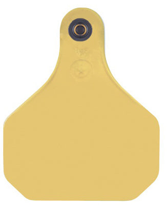 Y-tex 1613000 XP820 Insecticide Tag, 20 Pack