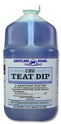 Dairyland CHG Teat Dip Sanitizer, 1 Gallon