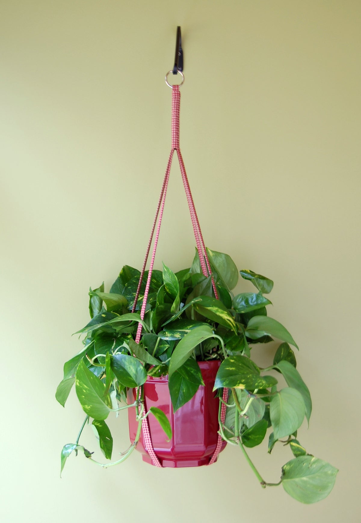 fabric hanging plant holder Primitive Planters Fabric Plant Hanger, Assorted, 36"