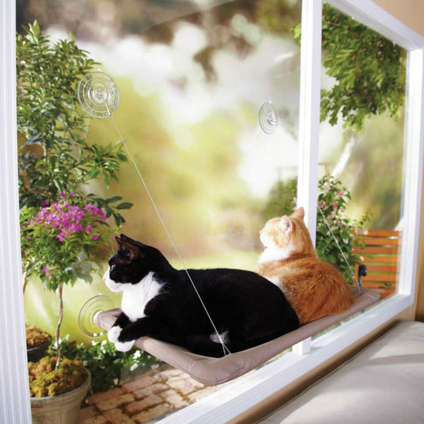 Oster® DRP-SUNY-BLT6 Sunny Seat™ Window-Mounted Cat Bed, As Seen On TV