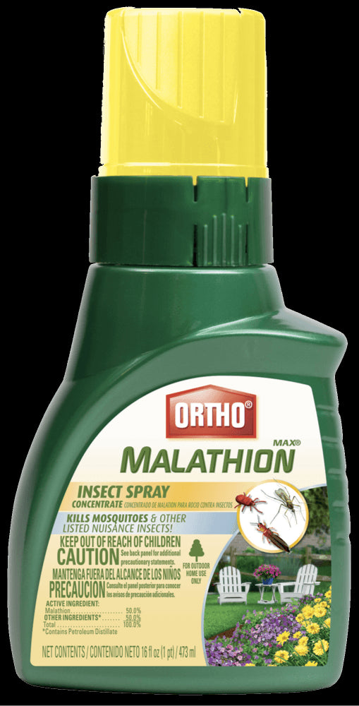 Ortho 0165610 Max Malathion Insect Spray Concentrate, 16 Oz