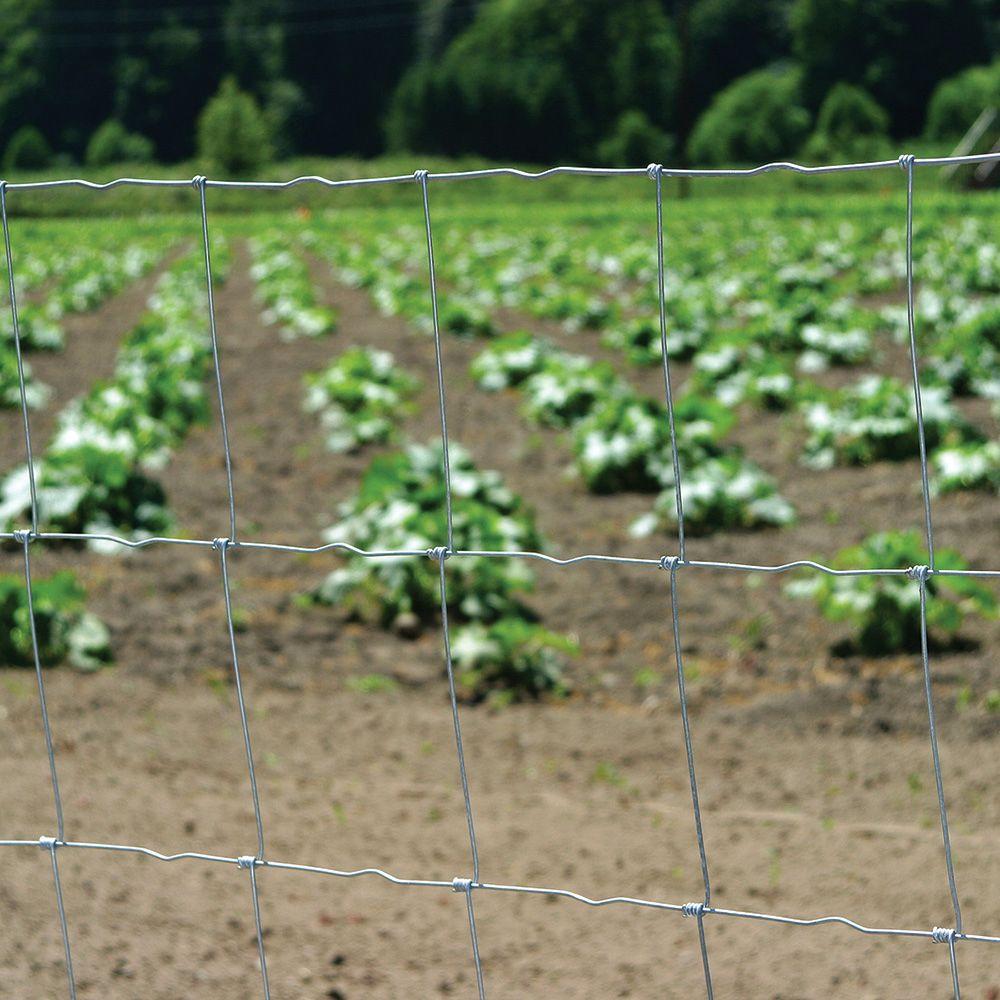 FarmGard® 348104B Class 1 Galvanized Steel Multi-Purpose Field Fence, 39" x 330'