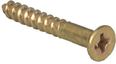 Hillman 385758 Phillips Flat Head Wood Screw 10" x 2", 100 Pack