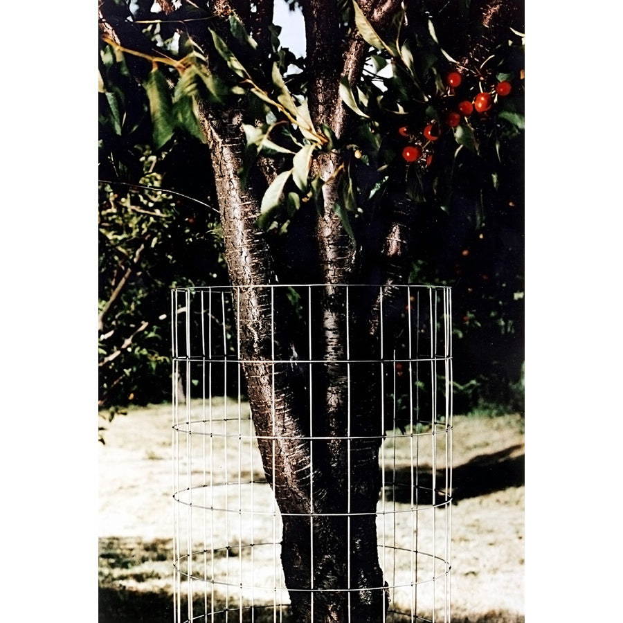 Red Brand® 84067 9/P Welded Wire Fencing, 14-Gauge, 2" x 4" Mesh, 48" x 100'