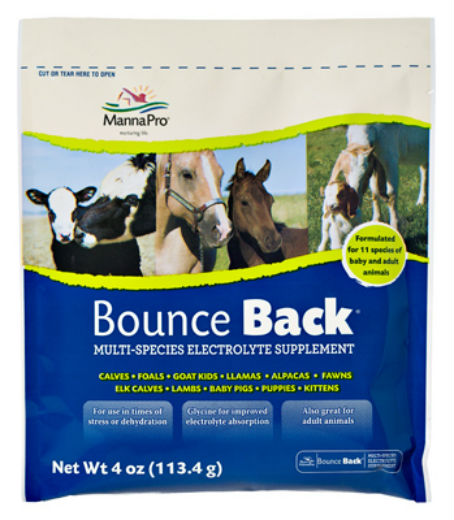 Manna Pro® 0094130249 Bounce Back Multi-Species Electrolyte Supplement, 4 Oz