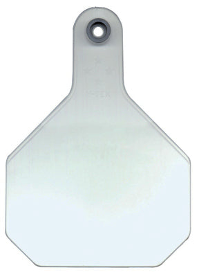 Y Tex 7901000 All American 4 Star Blank Tag, Large, White (25-Pack)