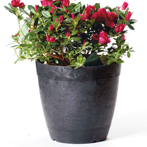 Novelty 03108-05 Round Dolce Planter, 10", Black