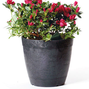 Novelty 03108-05 Round Dolce Planter, 10", Black