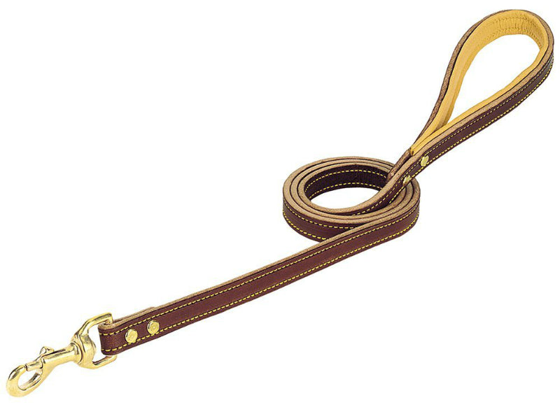 Weaver Pet 06-5657-4 Deer Ridge Dog's Leash, 3/4" x 4'