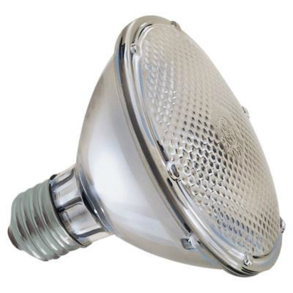 GE 69166 Energy-Efficient Short-Neck PAR30 Halogen Floodlight Bulb, 38W