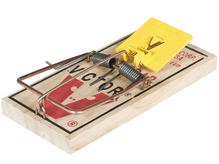 Victor Mouse Traps in the Animal & Rodent Control department at
