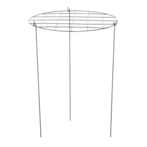 Panacea 89320 Green PVC Coated Grow Thru Ring Plant Support, 20" x 30"