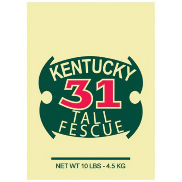 Barenbrug 16210 Kentucky-31 Tall Fescue Grass Seed, 10 Lbs