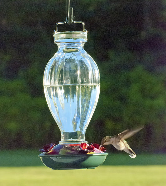 Audubon NA35243 Fluted Glass Bottle Hummingbird Feeder, 20 Oz