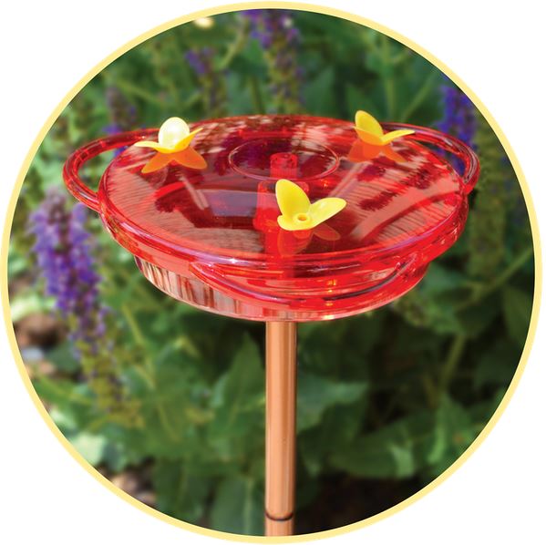 More Birds™ 30 Hummingbird Feeder 3-In-1, 6 Oz Capacity