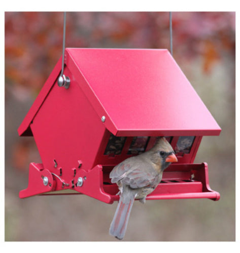 Audubon™ 7458 Mini Absolute II Squirrel Proof Hopper Bird Feeder, 4 Lbs Capacity