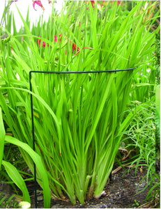 Luster Leaf® 1045 Link-Ups® Plant Prop-Up U-Support, 15" x 30"