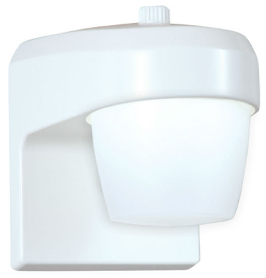 Consumer Products FES0650LPCW All-Pro™ LED Entry & Patio Light, White