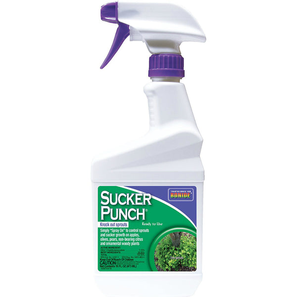 Bonide® 2761 Sucker Punch Knock Out Sprouts, Ready To Use, 1 Pint
