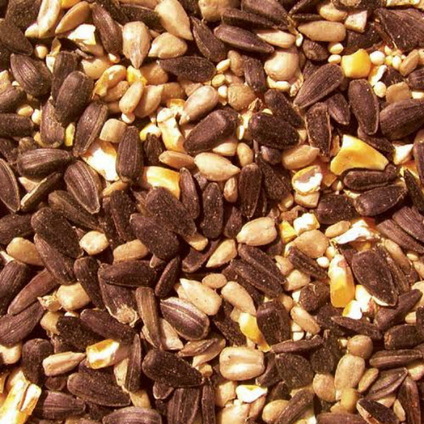 Cole's BH20 Blazing Hot Blend Bird Seed, 20 Lb