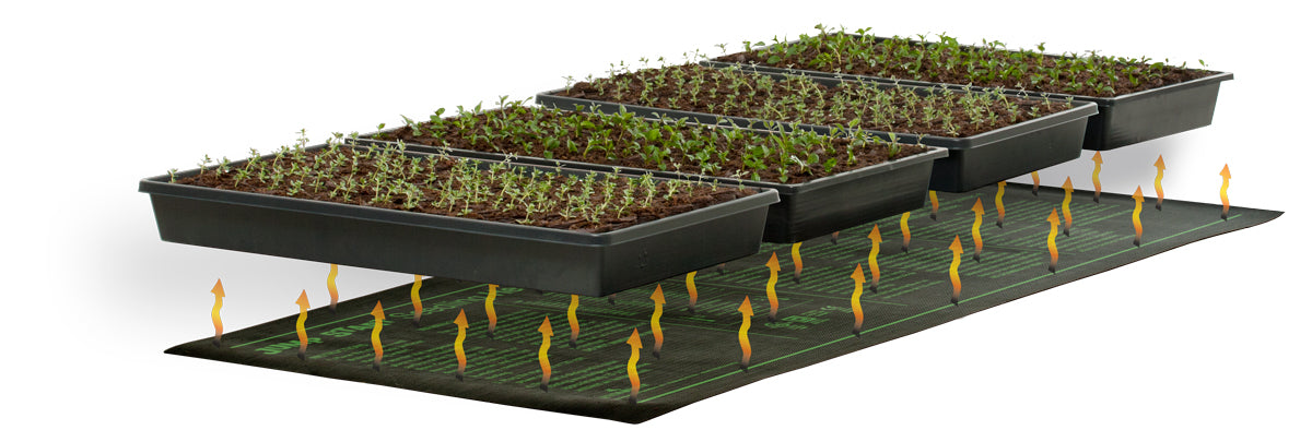 Jump Start MT10009 Seedling Heat Mat, 20" x 48", 107W, 120V