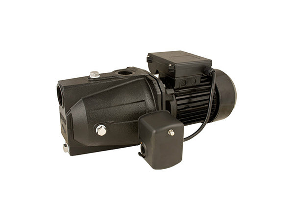 Flint & Walling SJ07S Shallow Well Jet Pump, 3/4 HP, Economy Cast Iron