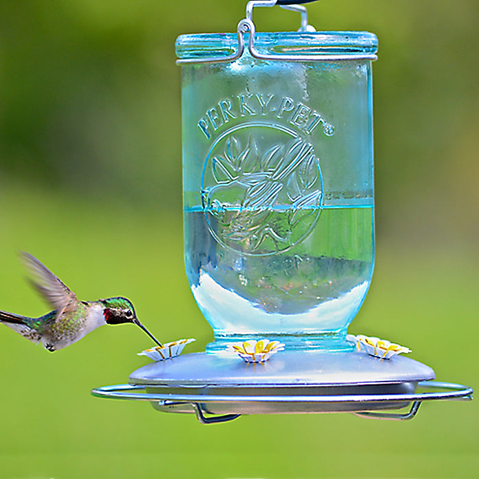 Perky-Pet 785 Mason Jar Glass Hummingbird Feeder, 32 Oz Capacity, Blue Antique