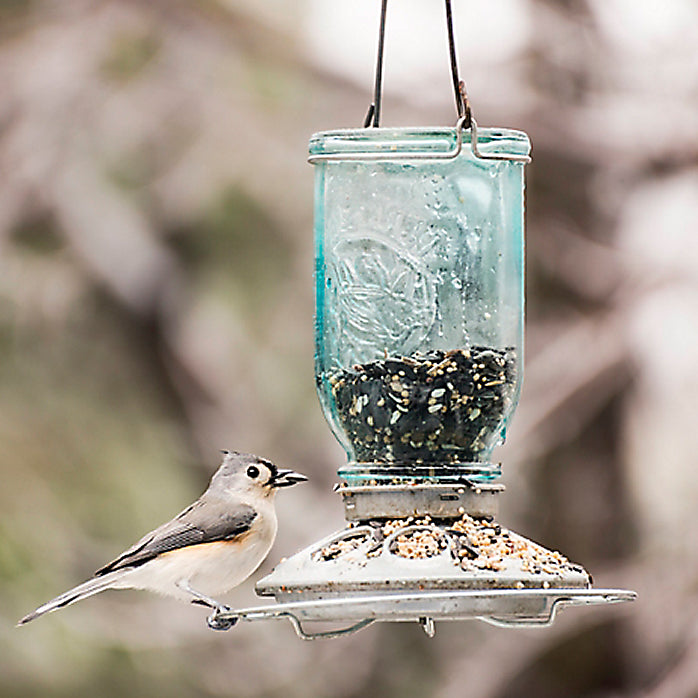 Perky-Pet® 784 Mason Jar Wild Bird Feeder, 1 Lb Capacity, Blue Antique