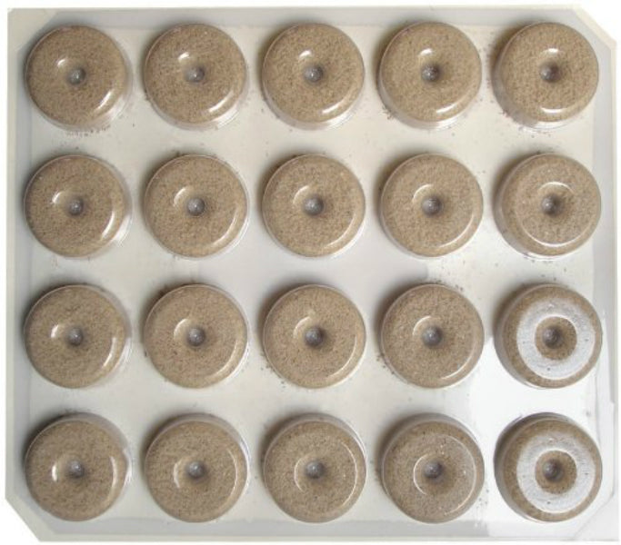 Summit® 111-5 Mosquito Dunks® Biological Mosquito Killer, 20-Count