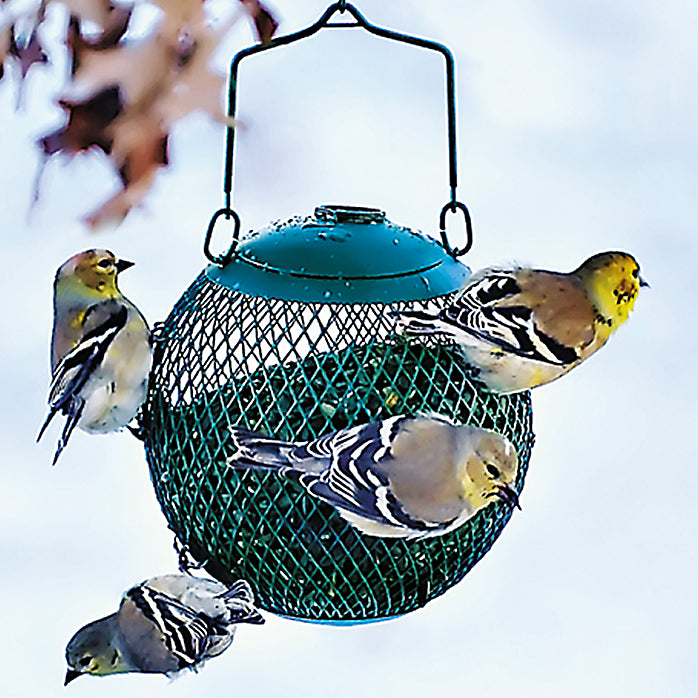 Perky-Pet® GSB00344 No/No® Seed Ball Wild Bird Feeder, 6 Cups Capacity, Green