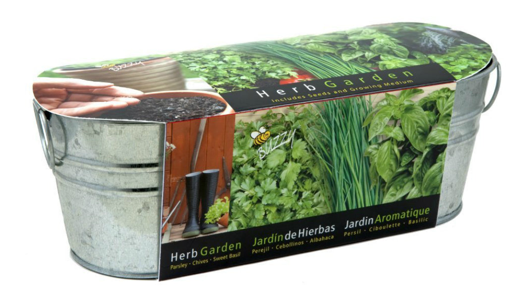 Buzzy® 94330 Kitchen Herb Windowsill Grow Kit