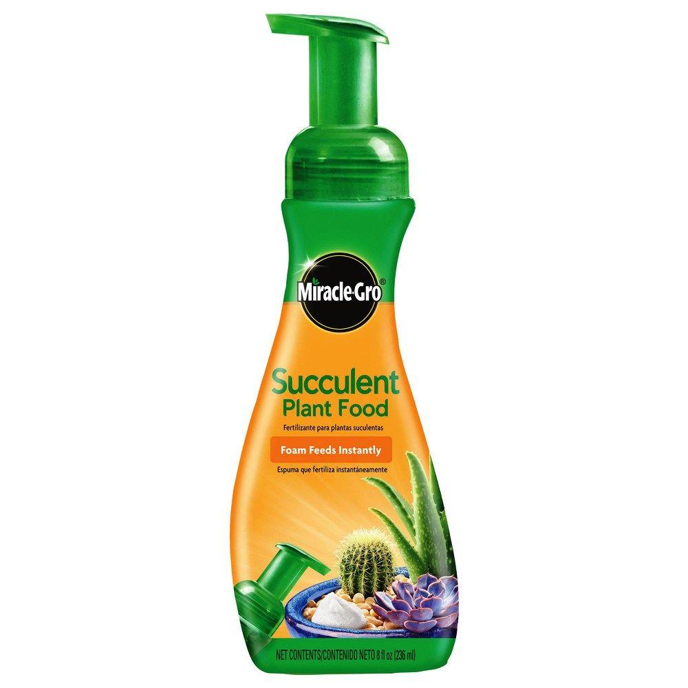 can miracle grow be used on succulents Miracle-Gro Succulent Plant Food
