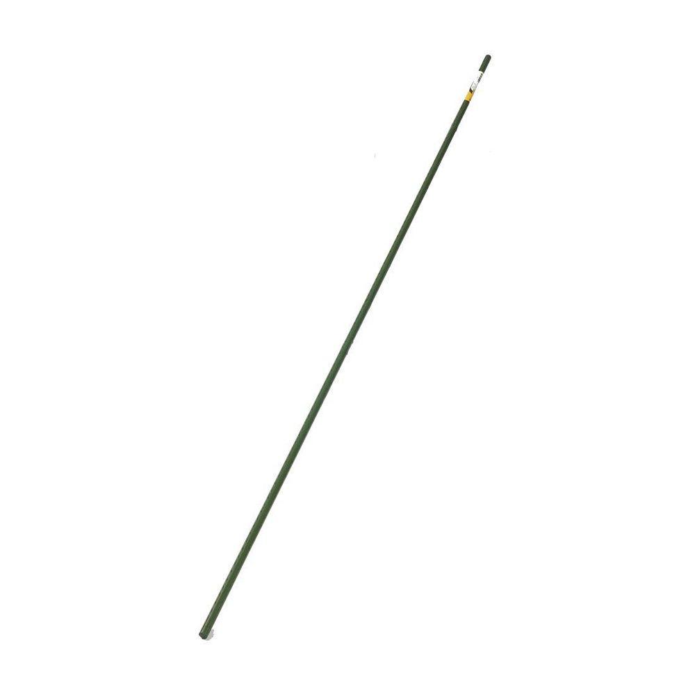 Miracle-Gro® SMG12198W Green Plastic Coated Steel Plant Stakes, 4', 2-Pack