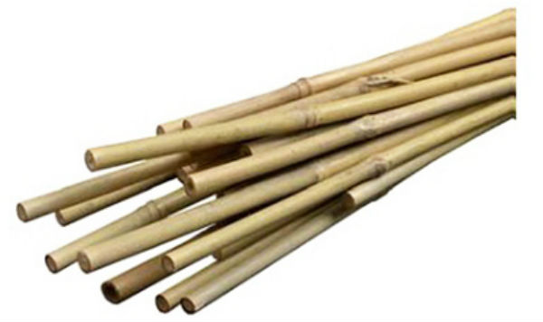 Miracle-Gro® SMG12029 Bamboo Plant Stakes, 2', 12-Pack