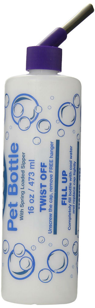 Ware Manufacturing 03333 Best Buy Pet Water Bottle, Assorted Color Lid, 16 Oz