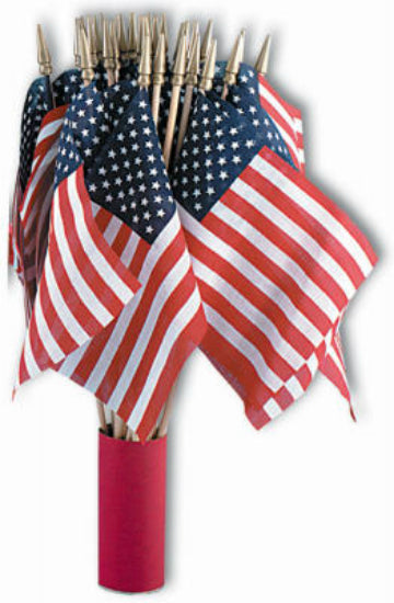 Annin Flagmakers 41192 US Hand Flag, 4" x 6"