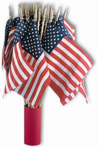 Annin Flagmakers 41192 US Hand Flag, 4" x 6"