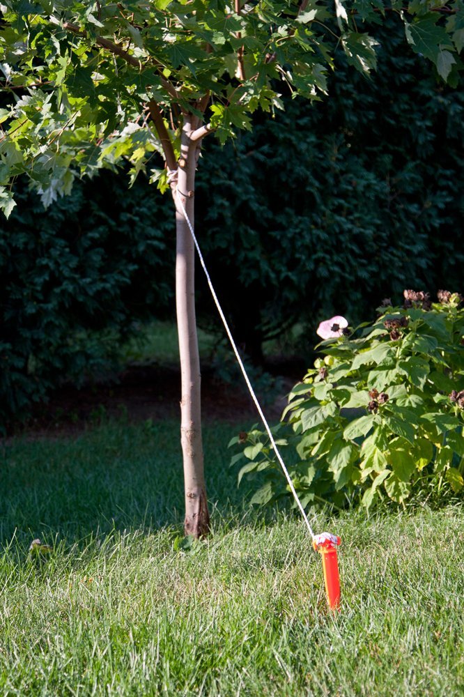 SecureLine® GS11 Durable Plastic Ground Stake, Bright Orange, 11"