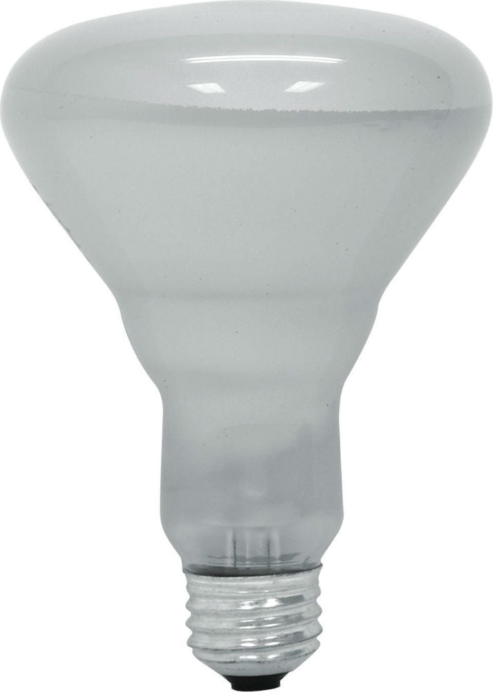 GE Lighting 47725 Saf-T-Gard® BR40 Reflector Floodlight, Soft White, 120W