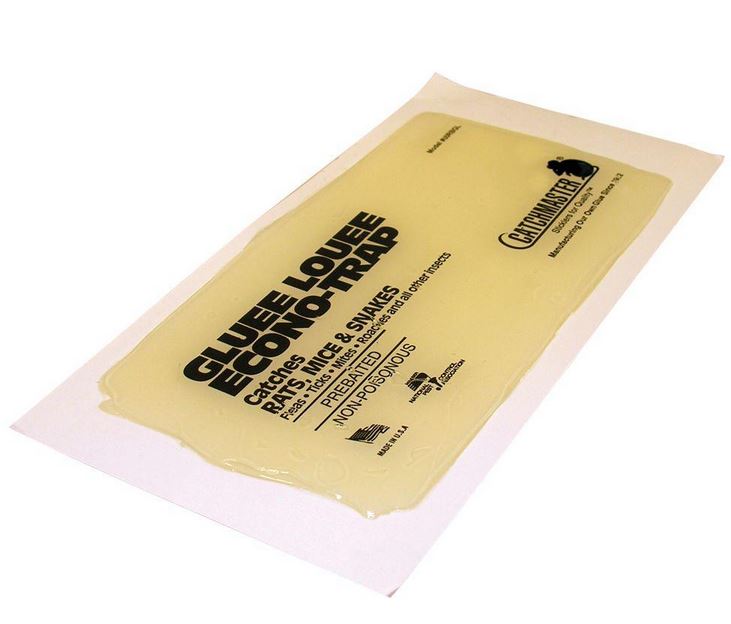 Gluee Louee Heavy Duty Econo-Trap Glue Board Traps