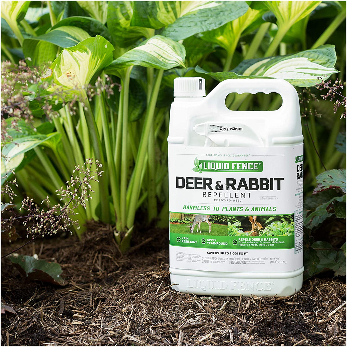 rabbit spray for garden Liquid Fence Deer and Rabbit Repellent