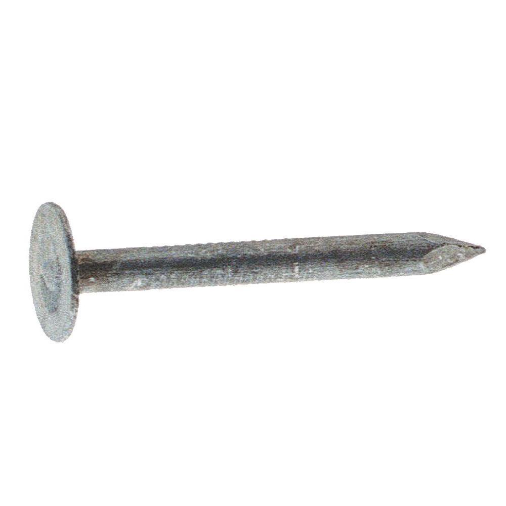 Hillman Fasteners™ 461458 Electro-Galvanized Roofing Nail, 11-Gauge, 1.25", 5 Lb