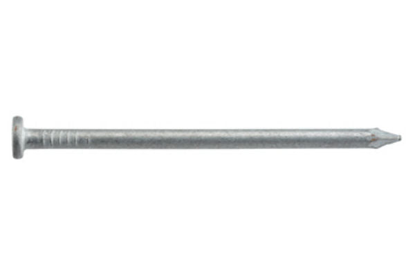 Hillman Fasteners™ 461289 Hot-Dipped Galvanized Common Nails, 2.5" x 8D, 30 Lb