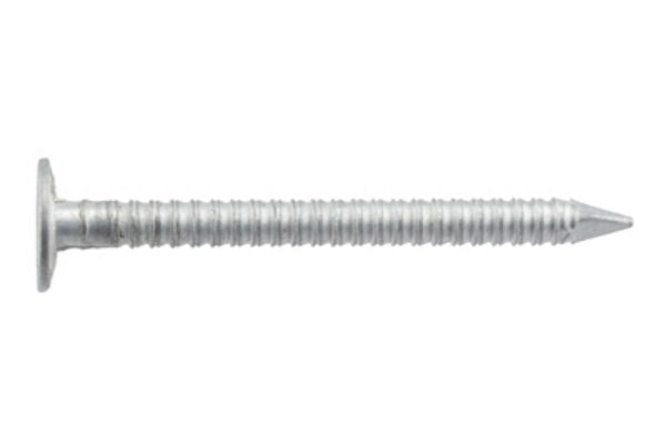 Hillman Fasteners™ 461437 Galvanized Hardboard Siding Nails, 2.5" x 8D, 1 Lb