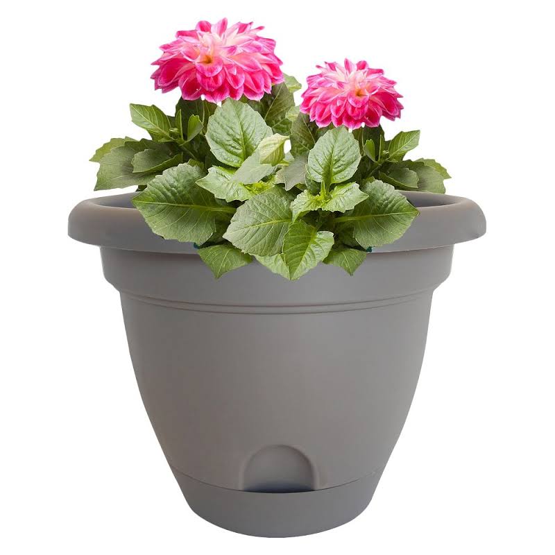 Bloem LP1260 Lucca Self-Watering Plastic Planter, Peppercorn Dark Brown, 12"