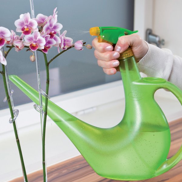 Scheurich 50449 Sprayman 2-In-1 Watering Can & Spray Bottle, Green, 40 Oz