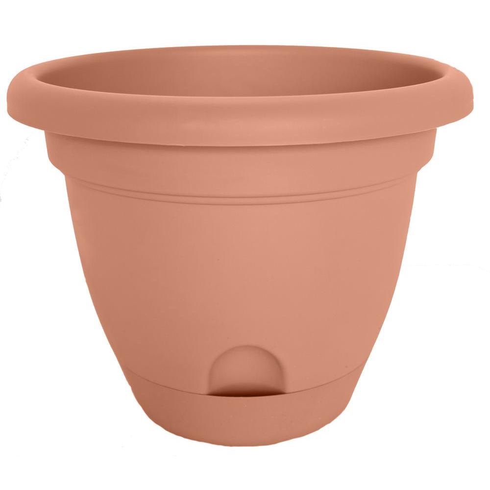 Bloem LP1246 Lucca Self-Watering Plastic Planter, Terra Cotta, 12"