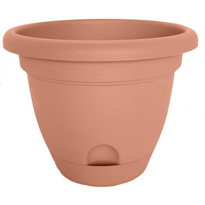 Bloem LP0646 Lucca Self-Watering Plastic Planter, Terra Cotta, 6"