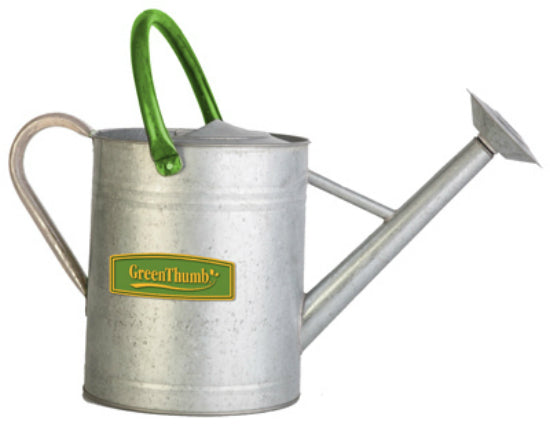 Green Thumb 84884TV Vintage Galvanized Watering Can with Logo, 2 Gallon