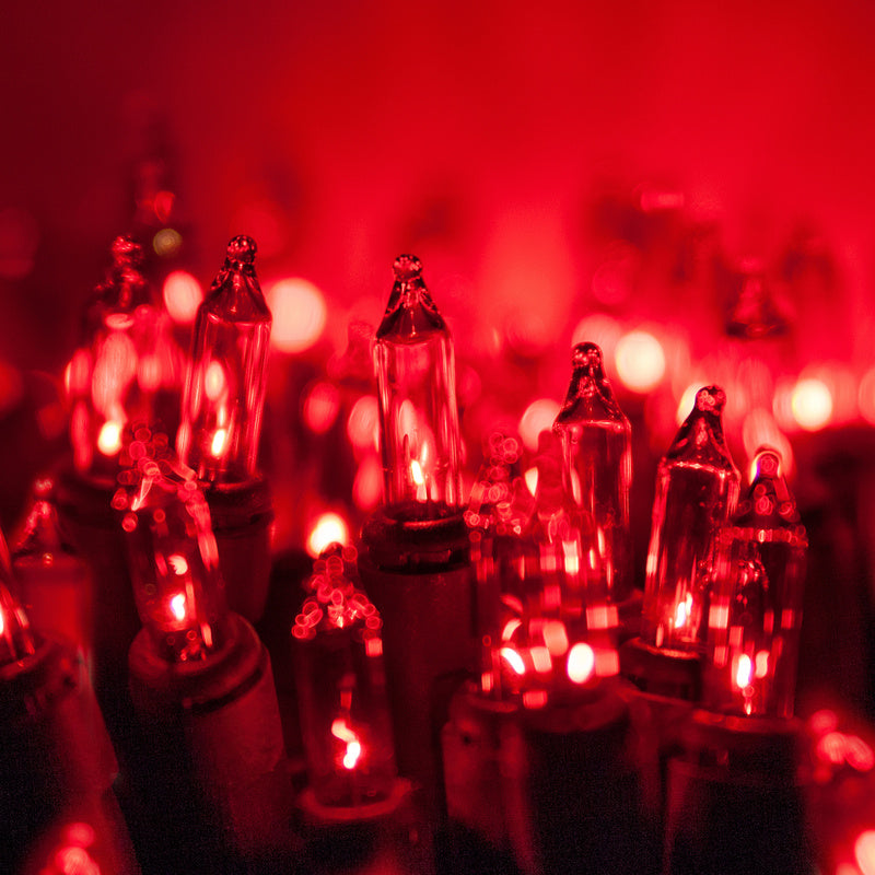 Holiday Wonderland 4053-88A Christmas Red Mini 50-Light Set, Green Wire, 12.6'